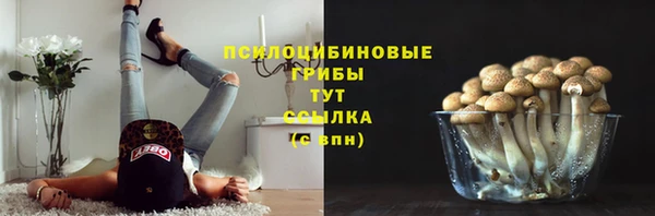 ALPHA PVP Куйбышев
