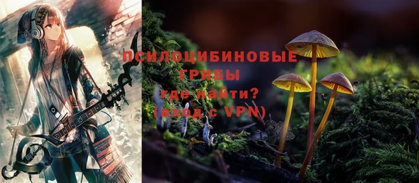 ALPHA PVP Куйбышев