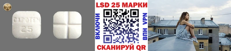 дарнет шоп  Сысерть  mega вход  Лсд 25 экстази кислота 