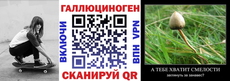 Галлюциногенные грибы Cubensis  закладки  Сысерть 